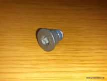 Sicherungsschraube Bremsscheibe VA