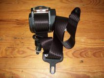 Sicherheitsgurt hinten